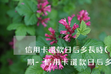 信用卡還款日后多長時(shí)間不算逾期-信用卡還款日后多長時(shí)間不算逾期了