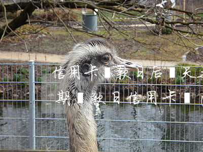 信用卡還款日后幾天之內(nèi)不算逾期 還款日信用卡當(dāng)天幾點(diǎn)之前還款不算逾期