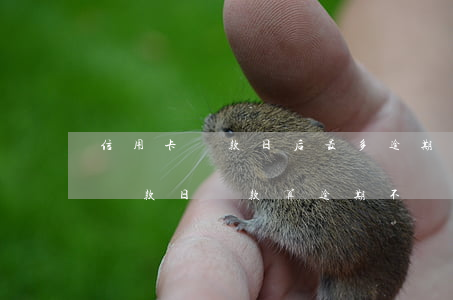 信用卡還款日后最多逾期幾天 在信用卡最后還款日還款算逾期不