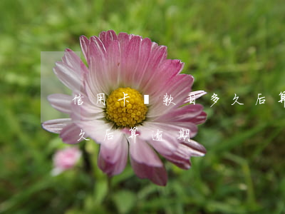 信用卡還款日多久后算逾期(信用卡還款日多久后算逾期)