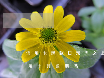 信用卡還款日幾天之后算逾期(超過兩天還信用卡算逾期嗎)
