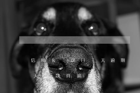 信用卡還款日幾天逾期嗎(信用卡還款日過一天還款算逾期嗎)