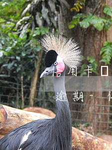 信用卡還款日延長(zhǎng)幾天不算逾期-信用卡還款日延長(zhǎng)幾天不算逾期了