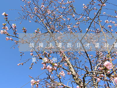 信用卡還款日才還款算逾期嗎(還信用卡怎么算逾期)
