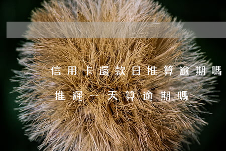 信用卡還款日推算逾期嗎(信用卡還款日到了推遲一天算逾期嗎)