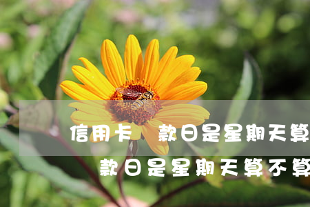 信用卡還款日是星期天算不算逾期-信用卡還款日是星期天算不算逾期了