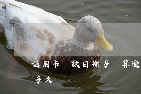信用卡還款日期多長算逾期(還信用卡期限是多久)