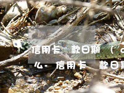信用卡還款日期當(dāng)天還算逾期么-信用卡還款日期當(dāng)天還算逾期么嗎