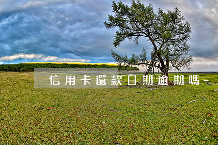 信用卡還款日期逾期嗎-信用卡到期還款日