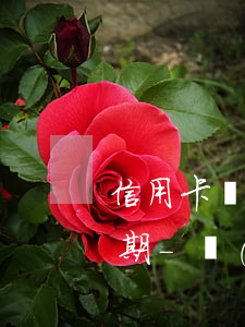 信用卡還款日當(dāng)天還算不算逾期-當(dāng)天還信用卡算逾期嗎