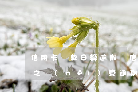 信用卡還款日算逾期嗎(信用卡還款日后三天之內(nèi)算逾期嗎)