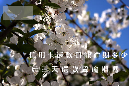 信用卡還款日能逾期多少天(信用卡在還款日后三天還款算逾期嗎)