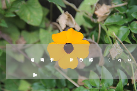 信用卡還款日超過(guò)一天算不算逾期