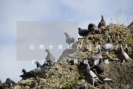 信用卡還款日超過多少天算逾期(到期還款日超過一天算逾期嗎)