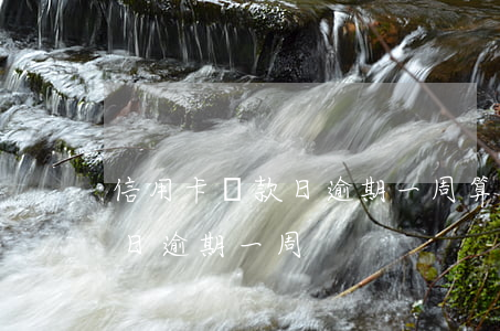 信用卡還款日逾期一周算逾期嗎（信用卡還款日逾期一周）