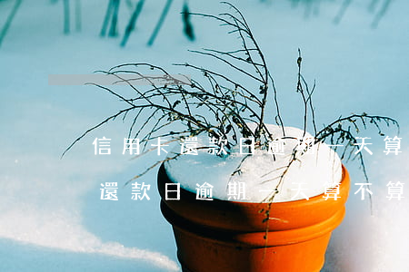 信用卡還款日逾期一天算不算逾期-信用卡還款日逾期一天算不算逾期了
