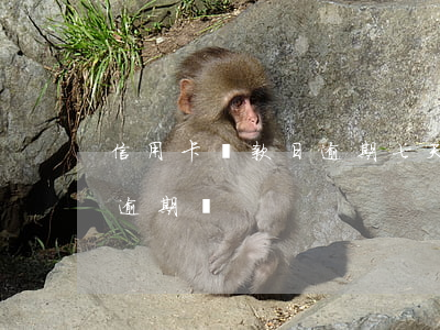 信用卡還款日逾期七天(信用卡晚還了7天算逾期嗎)
