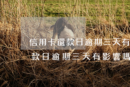 信用卡還款日逾期三天有影響嗎-信用卡還款日逾期三天有影響嗎怎么辦