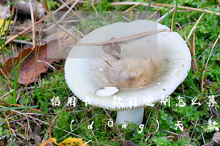 信用卡還款日逾期怎么算(信用卡還款到期日當(dāng)天還款算逾期嗎)
