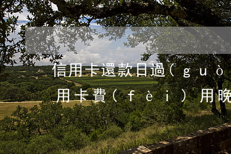 信用卡還款日過(guò)后算逾期嗎(還信用卡費(fèi)用晚幾天算逾期)