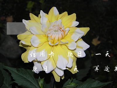信用卡還款日過一天還算逾期嗎-信用卡還款日過一天還算逾期嗎怎么辦
