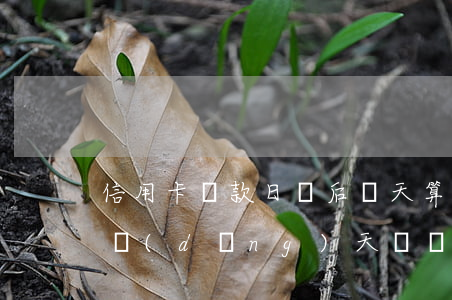 信用卡還款日過后幾天算逾期(還款日信用卡當(dāng)天幾點(diǎn)之前還款不算逾期)