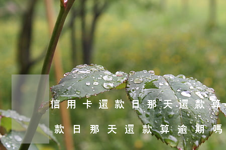 信用卡還款日那天還款算逾期嗎-信用卡還款日那天還款算逾期嗎怎么辦