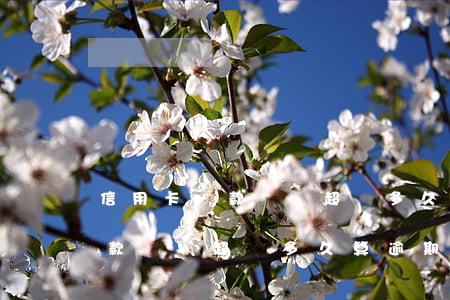 信用卡還款時間超過多久算逾期-信用卡還款時間超過多久算逾期了