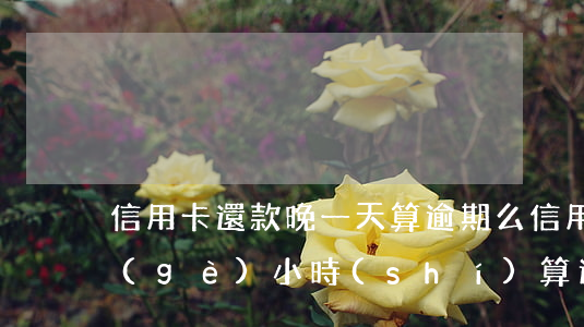 信用卡還款晚一天算逾期么(信用卡晚還半個(gè)小時(shí)算逾期嗎)