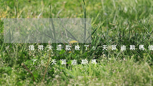 信用卡還款晚了5天算逾期嗎 信用卡還款晚了5天算逾期嗎