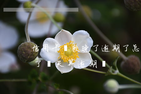 信用卡還款晚了逾期了怎么辦-還信用卡晚了兩天算逾期嗎