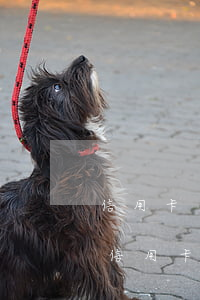 信用卡還款晚幾點(diǎn)不算逾期(還信用卡最晚幾點(diǎn)還)
