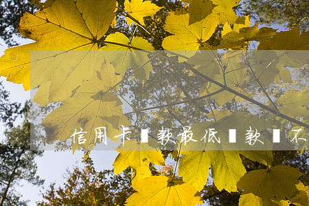 信用卡還款最低還款額不算逾期吧