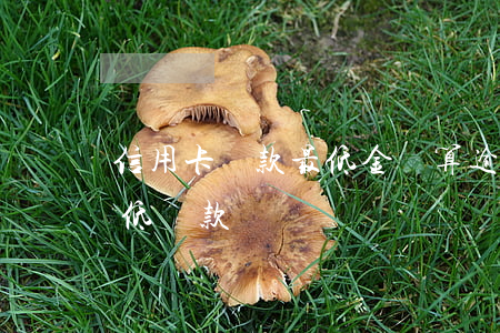 信用卡還款最低金額算逾期嗎(逾期金額是最低還款額嗎)