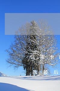 信用卡還款最后幾天還不算逾期-信用卡還款最后幾天還不算逾期嗎