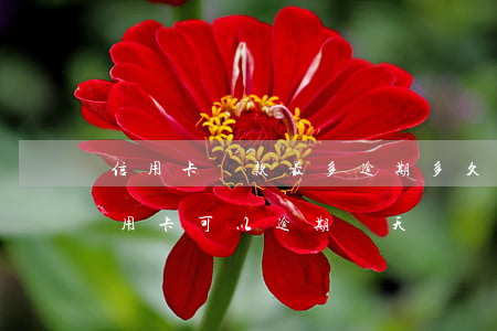 信用卡還款最多逾期多久恢復(fù)(還信用卡可以逾期幾天)