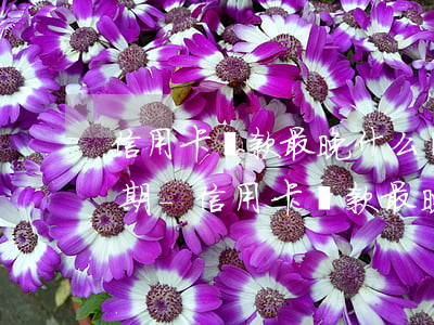 信用卡還款最晚什么時(shí)候不算逾期-信用卡還款最晚什么時(shí)候不算逾期了