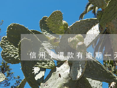 信用卡還款有逾期一天怎么辦-還款逾期一天
