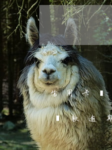 信用卡還款期過(guò)了多久算逾期-貸款逾期過(guò),已經(jīng)還清了多久可以信用卡