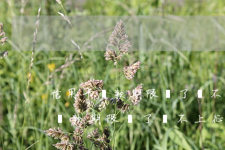 信用卡還款期限過了還不上征信嗎-信用卡還款期限過了還不上征信嗎怎么辦