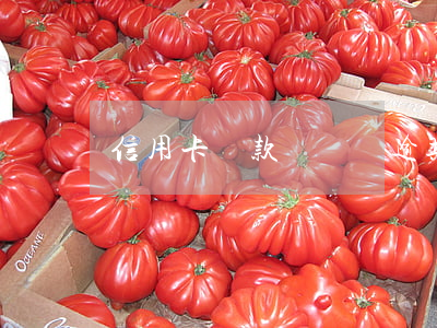 信用卡還款沒記賬逾期(還信用卡沒到賬)