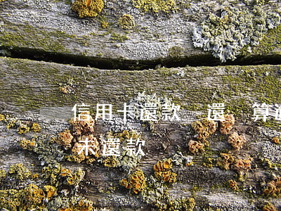 信用卡還款沒還夠算逾期嗎(逾期還款和逾期未還款)