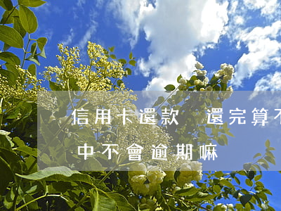 信用卡還款沒還完算不算逾期(還信用卡入賬中不會逾期嘛)