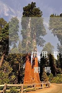 信用卡還款當(dāng)天24點前算逾期嗎