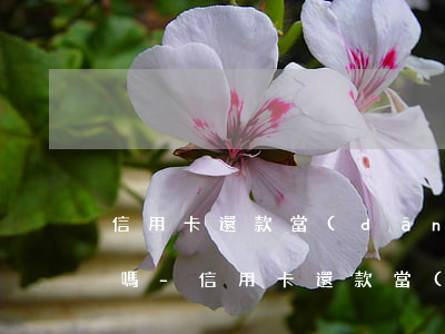 信用卡還款當(dāng)日晚幾天算逾期嗎-信用卡還款當(dāng)日晚幾天算逾期嗎怎么辦