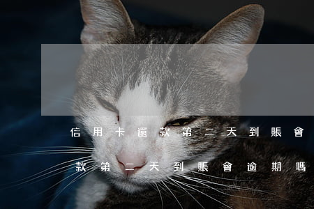 信用卡還款第二天到賬會逾期嗎-信用卡還款第二天到賬會逾期嗎怎么辦