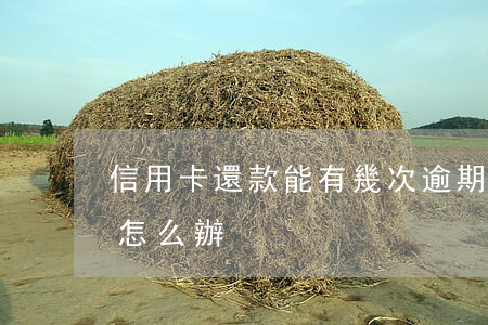 信用卡還款能有幾次逾期(信用卡有幾次逾期怎么辦)