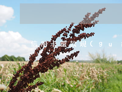 信用卡還款規(guī)則