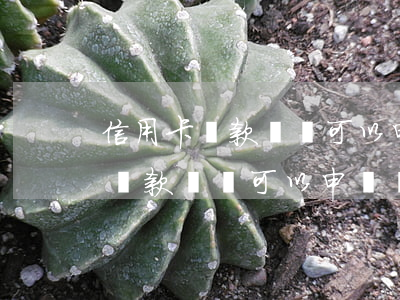 信用卡還款記錄可以申請裝修貸嗎-信用卡還款記錄可以申請裝修貸嗎安全嗎