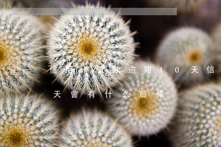 信用卡還款逾期10天(信用卡還款逾期10天會有什么后果)